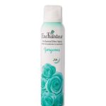 مزيل عرق انشانتير 200 مل